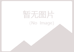 黄山夏槐机械有限公司